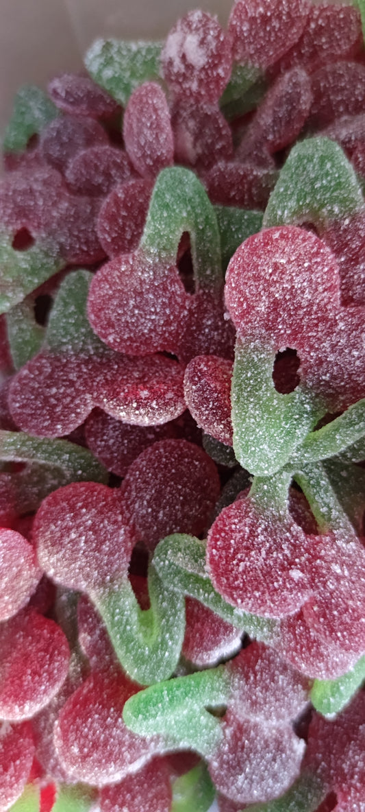 CHERRY PIK HARIBO 100G